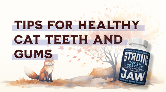 Top Tips for Maintaining Healthy Cat Teeth and Gums
