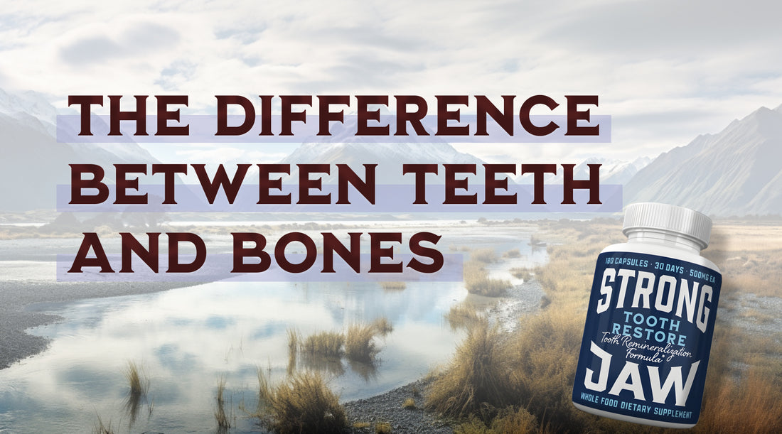 Exploring the Difference Between Teeth and Bones: Are Teeth Bones?